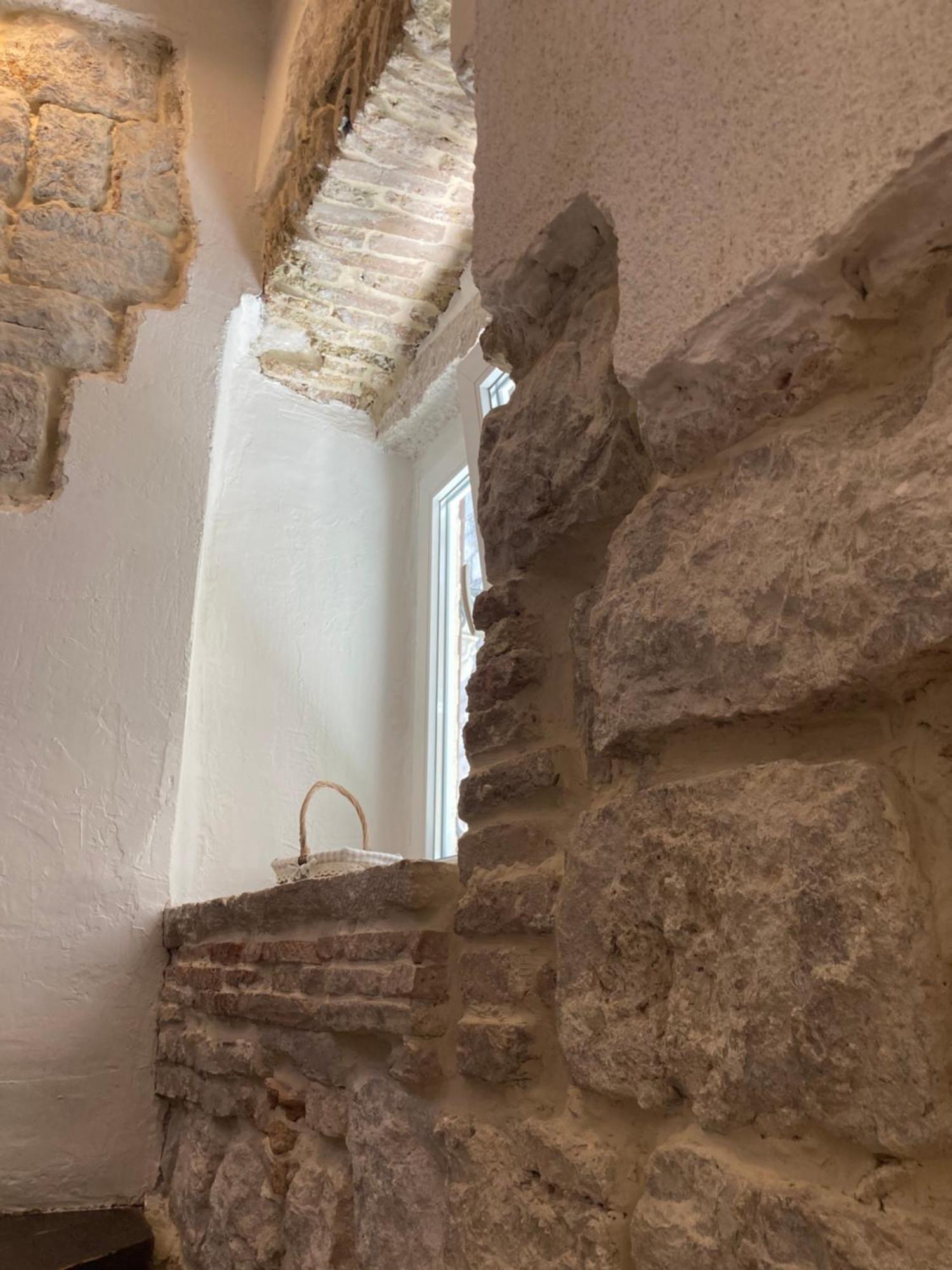 Vicelic Guest house